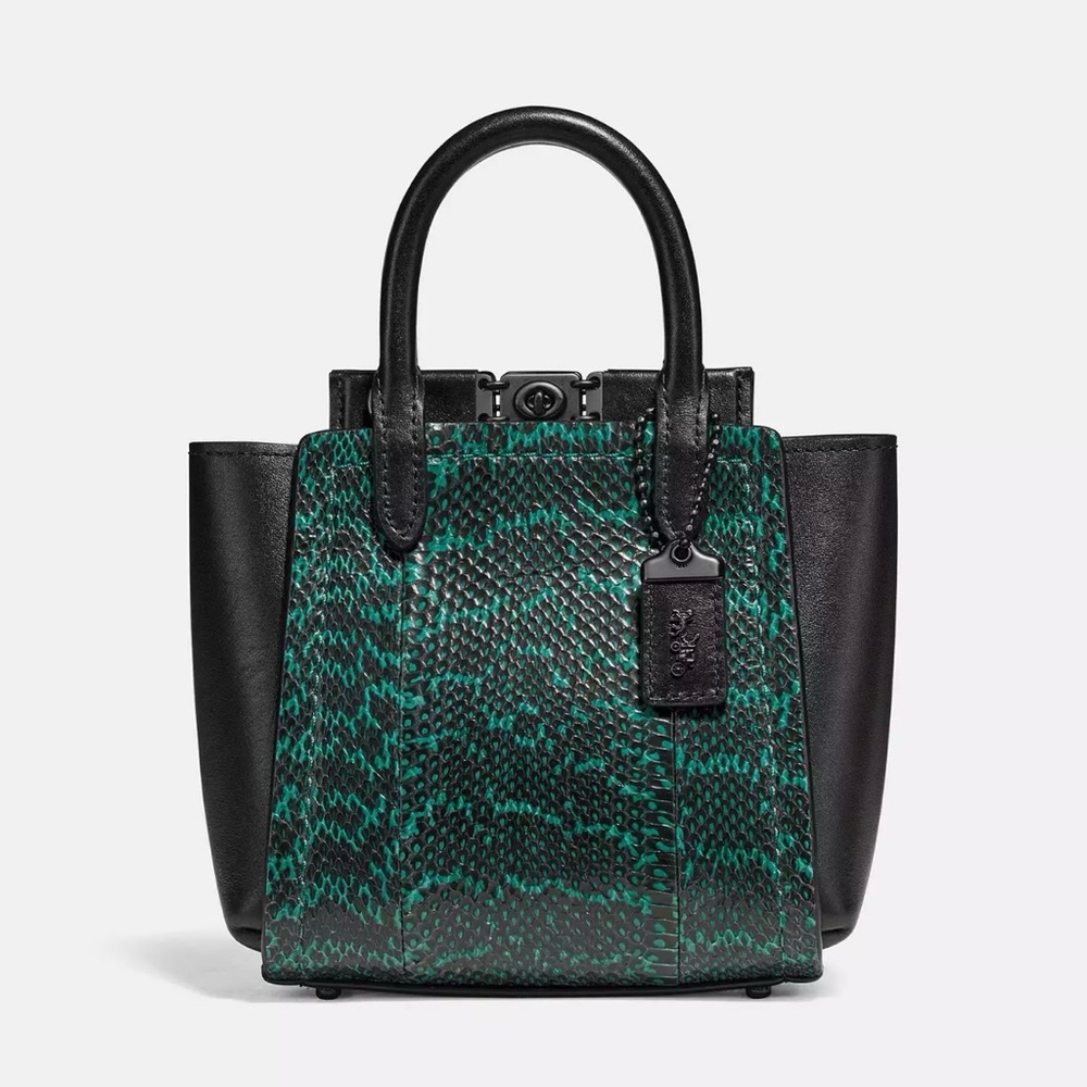 Coach bag with genuine snakeskin